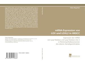 mRNA-Expression von LOX und LOXL2 in HNSCC