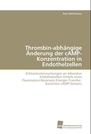 Thrombin-abhängige Änderung der cAMP-Konzentration in Endothelzellen