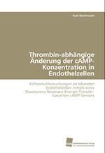 Thrombin-Abhängige Änderung Der Camp-Konzentration in Endothelzellen