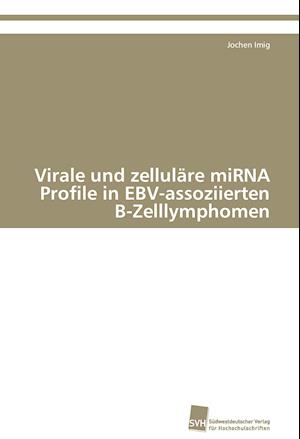 Virale und zelluläre miRNA Profile in EBV-assoziierten B-Zelllymphomen