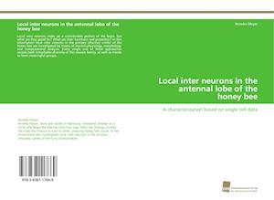 Local inter neurons in the antennal lobe of the honey bee