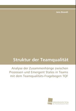 Struktur der Teamqualität