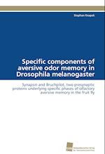 Specific Components of Aversive Odor Memory in Drosophila Melanogaster