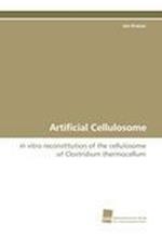 Artificial Cellulosome