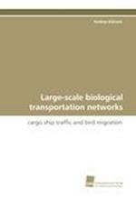 Large-scale biological transportation networks