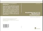 Morphologie der Si-(112) Oberfläche bei Metalladsorption: