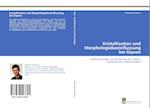 Kristallisation und Morphologiebeeinflussung bei Gipsen