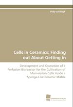 Cells in Ceramics: Finding out About Getting in