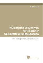 Numerische Lösung von restringierter Optimalsteuerungsaufgaben