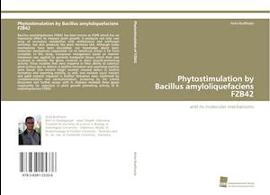 Phytostimulation by Bacillus amyloliquefaciens FZB42