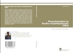 Phytostimulation by Bacillus amyloliquefaciens FZB42