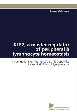 KLF2, a master regulator of peripheral B lymphocyte homeostasis