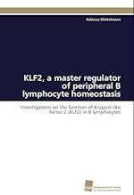 KLF2, a master regulator of peripheral B lymphocyte homeostasis