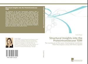 Structural Insights into the Proteintranslocase TOM