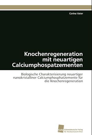 Knochenregeneration mit neuartigen Calciumphospatzementen