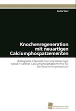 Knochenregeneration Mit Neuartigen Calciumphospatzementen