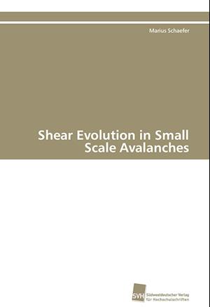 Shear Evolution in Small Scale Avalanches