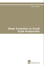 Shear Evolution in Small Scale Avalanches