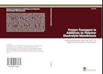 Proton Transport in Additives to Polymer Electrolyte Membranes