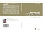 Exotic electronic properties of ruthenates and related materials