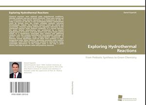 Exploring Hydrothermal Reactions