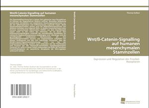 Wnt/ß-Catenin-Signalling auf humanen mesenchymalen Stammzellen