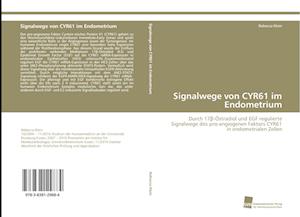 Signalwege Von Cyr61 Im Endometrium