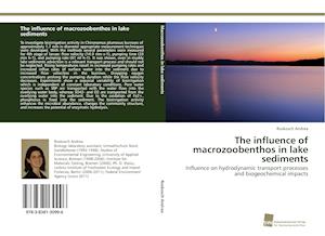 The influence of macrozoobenthos in lake sediments