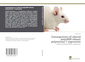 Consequences of altered poly(ADP-ribose) polymerase-1 expression