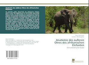 Anatomie des äußeren Ohres des afrikanischen Elefanten