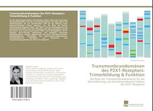 Transmembrandomänen des P2X1-Rezeptors: Trimerbildung & Funktion