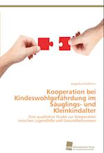 Kooperation bei Kindeswohlgefährdung im Säuglings- und Kleinkindalter