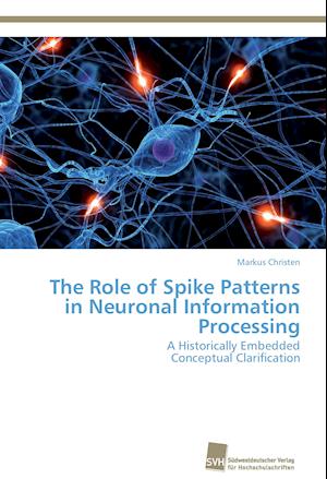 The Role of Spike Patterns in Neuronal Information Processing