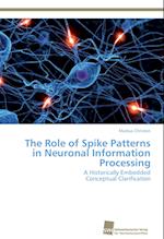 The Role of Spike Patterns in Neuronal Information Processing