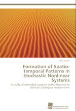 Formation of Spatio-Temporal Patterns in Stochastic Nonlinear Systems