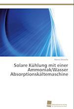 Solare Kühlung mit einer Ammoniak/Wasser Absorptionskältemaschine