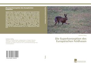 Die Superkonzeption des Europäischen Feldhasen