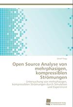 Open Source Analyse von mehrphasigen, kompressiblen Strömungen