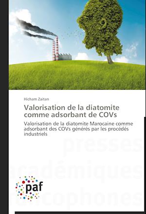 Valorisation de la diatomite comme adsorbant de COVs