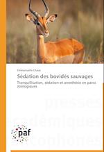 Sédation des bovidés sauvages