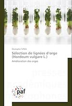 Sélection de lignées d'orge (Hordeum vulgare L.)