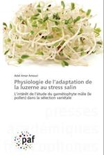 Physiologie de l'adaptation de la luzerne au stress salin