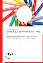 Numérique et interculturel  Tome II