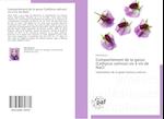 Comportement de la gesse (Lathyrus sativus) vis à vis de NaCl