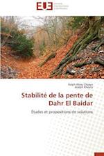 Stabilité de la pente de Dahr El Baidar