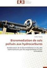 Bioremediation de sols pollués aux hydrocarbures