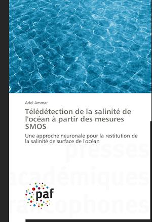 Télédétection de la salinité de l'océan à partir des mesures SMOS