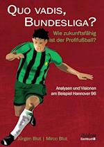 Quo Vadis, Bundesliga?. Wie Zukunftsfähig Ist Der Profifußball? - Analysen Und Visionen Am Beispiel Hannover 96