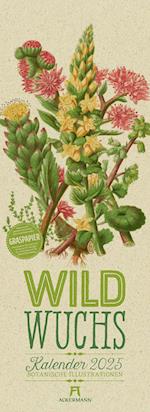 Wildwuchs - Botanische Illustrationen - Graspapier-Kalender 2025
