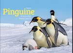 Pinguine Kalender 2025